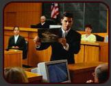 Criminal Defense Lawyer